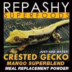 Crested Gecko MRP Mango